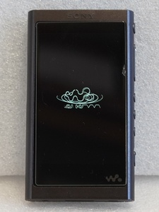 SONY Walkman（ソニー ウォークマン）NW-A55 おまけ付き