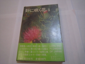 古本　カラー・野に咲く花1/山と渓谷社　山渓カラーガイド12