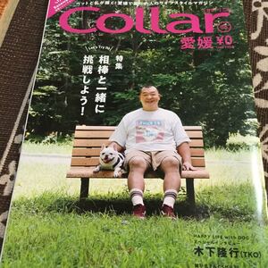 カラー collar 犬 冊子 木下隆行 tko 愛媛