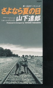 即決8cm CD 山下達郎/さよなら夏の日 / モーニング・シャイン