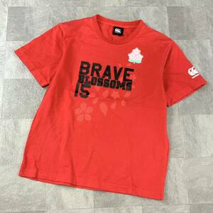 美品 Canterbury カンタベリー BRAVE BLOSSOMS サクラジャパン ラグビー 日本代表 ビッグロゴ 半袖 tシャツ メンズ M レッド