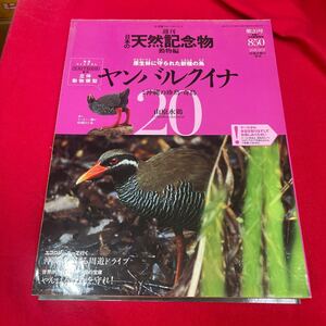 Y430. 6. 週刊. 日本の天然記念物20. ヤンバルクイナ　未開封　保管品　