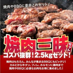 メガ盛り 焼肉 三昧セット 計2.5kg 牛ヒレひとくち500g キングカルビ500g 牛タン切落し500g 焼肉用豚バラ500g 牛ホルモン500g