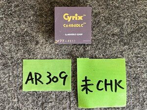 【送60サイズ】 IO DATA　PK-486D Cyrix Cx486DLC-25GP　25MHz/386DX互換CPU ※未チェック