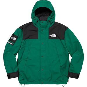 Supreme/The North Face Mountain Jacket. Original artwork by Raymond Pettibon. 2024AW Green Sサイズ 新品未使用 直営店購入 