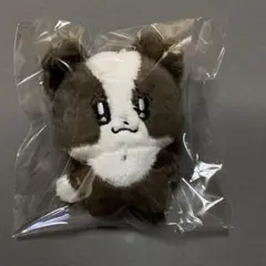 ヘンドリー　ぬいぐるみ　10cm 新品　マスター　nct