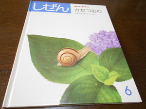 ★キンダーブック　しぜん　『かたつむり』フレーベル館1982年6月号　指導・波部忠重　絵・大下亮