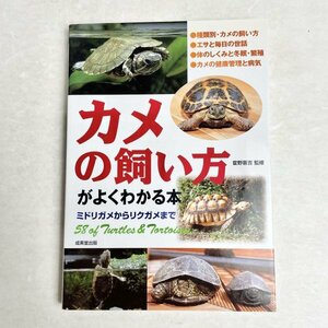 カメの飼い方がよくわかる本　ミドリガメからリクガメまで　監：霍野晋吉 成美堂出版