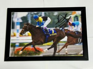 【チャリティー】『05年菊花賞 優勝馬 ディープインパクト 武豊 直筆サイン入り 写真 証拠有り』ルメール ドウデュース 馬券 ジャパンC 