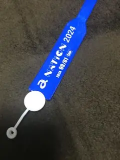 a-nation2024手首ベルト