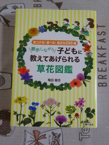 散歩しながら子供に教えてあげられる草花図鑑　中古品