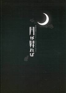 斉藤和義★月が昇れば 2009-2010 ライブツアーパンフ★パンフレット aoaoya