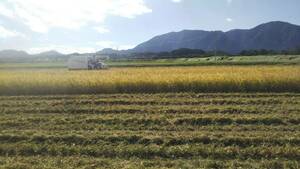 【令和5年産】新米 新潟県認証 無農薬 特別栽培米コシヒカリ 真空包装 白米5kg