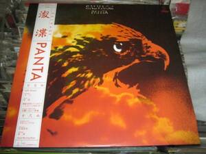  PANTA パンタ / 凌渫 SALVAGE 帯付LP 頭脳警察 悪たれ小僧