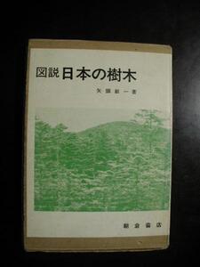 日本の樹木(図説)