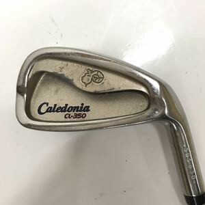 【単品5番アイアン】Caledonia カレドニア CL-350 フレックス不明 レディース右　☆