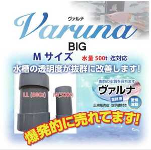 送料無料！池の透明度が抜群になる【ヴァルナ池用】病原菌や感染症など有害物質を強力抑制！錦鯉飼育者絶賛☆池に入れるだけ５００トン浄化