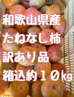 2.和歌山県産 たねなし柿 訳あり品 かき