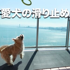 【愛犬の足を守る・屋外＆水回り・スリップ防止】滑り止めマット スタッドレスマット 90cm×5m [1枚入り]