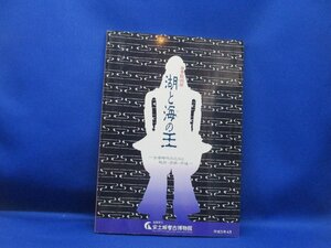 湖と海の王 1993年 安土城考古博物館 古代 鏡 宝飾品 古墳 滋賀　/82211