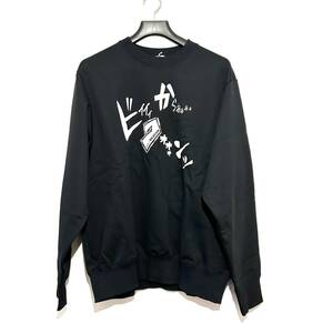 【kolor BEACON / カラービーコン】プリント SWEAT(22WBM-T08233) / 新品 / 定価24,200円