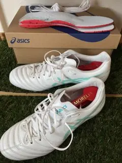 ASICS DS LIGHT X-FLY PRO2