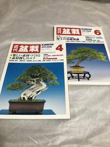 【即決】月刊 近代盆栽　KINBON　2008年4、6月号　近代出版