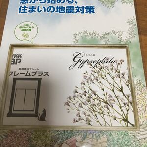 かすみ草の種