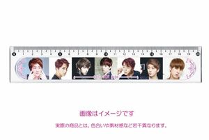 防弾少年団 BTS ジン JINK 定規 20cm 001