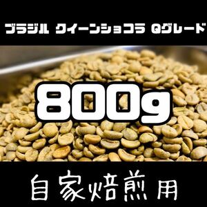 ブラジル　クイーンショコラ　生豆　800g