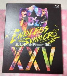 B’z　LIVE-GYM Pleasure 2013 ENDLESS SUMMER　ライブBlu-ray　稲葉浩志　松本孝弘