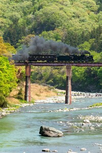 鉄道 デジ 写真 画像 秩父鉄道 SLパレオエクスプレス 旧型客車特別運行 5