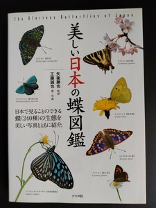 美しい日本の蝶図鑑■生態■写真■品種カタログ■基礎知識■分布■探し方■アゲハ■シジミ■タテハ■セセリ/絶版・希少本