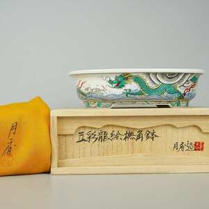 月香 共布 共箱 五彩 龍絵 撫角 長方鉢 観賞用 盆栽鉢 現品 新品