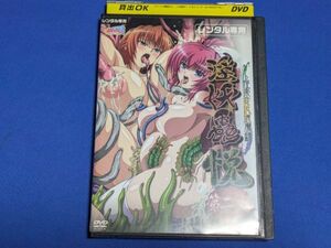 0629-03【レンタル落ちDVD】淫妖蟲 悦 ～怪楽変化退魔録～ 第二夜/アニメDVD/レンタルケース入り/送料：クリックポスト 185円