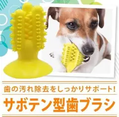 CENBIG 犬用噛むおもちゃ　イエロー　歯磨き　洗える　TPR素材3-20