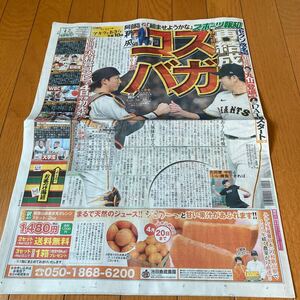 スポーツ報知 報知新聞 令和6年04月02日　巨人　ジャイアンツ　菅野智之　小林誠司　丸山隆平　timelesz スターダストプロモーション