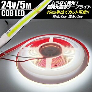 新型 柔軟 面発光 24V 5M 極薄 2mm COB LED テープライト 白 ホワイト 色ムラ つぶつぶ感なし 切断 カット アイライン チューブ トラック C