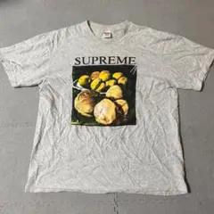 Supreme Still Life Tシャツ 半袖 18AW 白 L