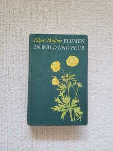 アンティーク ドイツ 植物図鑑