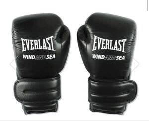 春に散る X WDS X EVERLAST BOXING GLOVE 10oz