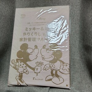 ゼクシィ　2019年3月号付録　ミッキー&ミニーやりくりしすぎる家計管理マルチケース