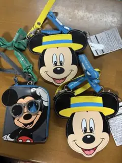 ディズニー　バケーションパッケージ　チケットホルダー まとめ売り