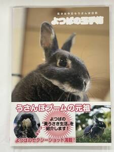 【外部・本-1303】◆気分は今日もうさんぽ日和 よつばの玉手箱◆ うさぎ/動物/写真集/帯有/初版発行（NI）