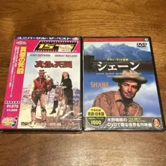 真昼の死闘・シェーンDVD