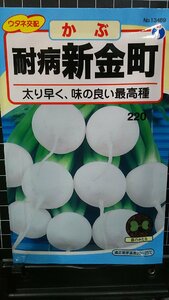 ３袋セット 新 金町 耐病 かぶ 種 郵便は送料無料