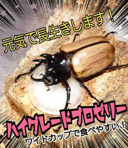 極上！ハイグレード　クワガタゼリー　カブトムシゼリー【300個】トレハロース強化！産卵数アップ・長寿効果に！食べやすいワイドカップ　