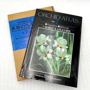 ORCHID ATLAS　オーキッドアトラス　世界の野生蘭 第7巻 オンシジウム・ミルトニア類 　唐沢 耕司　240417154