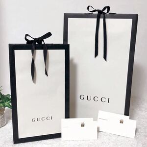 グッチ「GUCCI」ショッパー 大小2枚組 (1738) 正規品 付属品 ブランド紙袋 ショップ袋 メッセージカードおまけ 折らずに発送