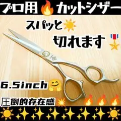 スパッと快適に切れる理美容師サロン用シザーカットバサミ圧倒的存在感☀トリマーOK